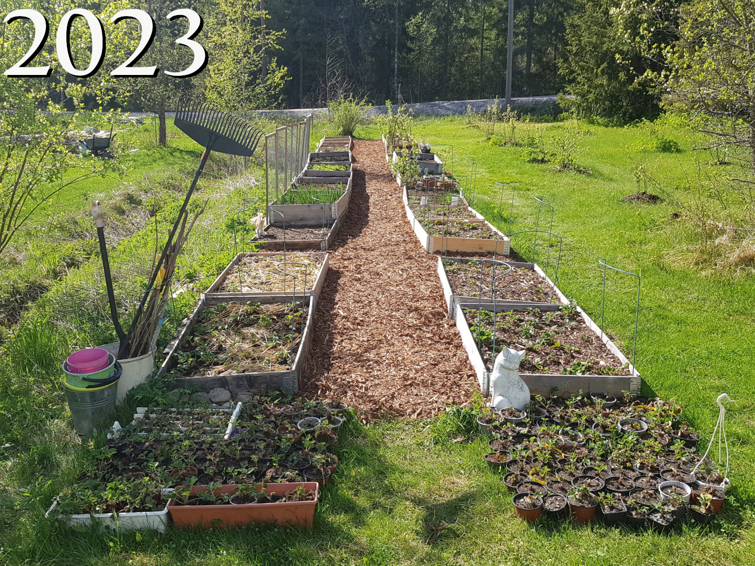 The Evolution of a Vegetable Garden