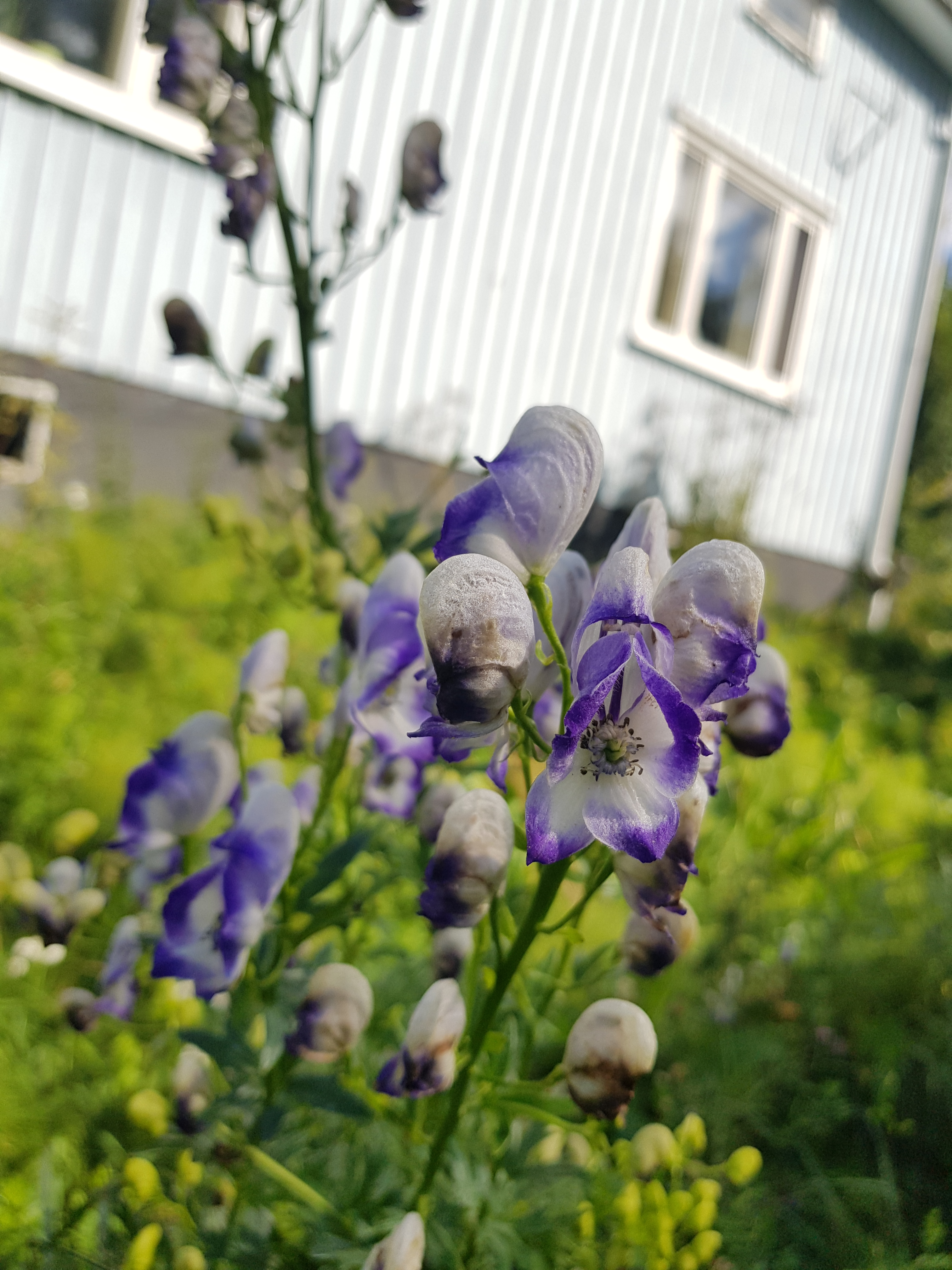 Six on Saturday | 12th August 2023