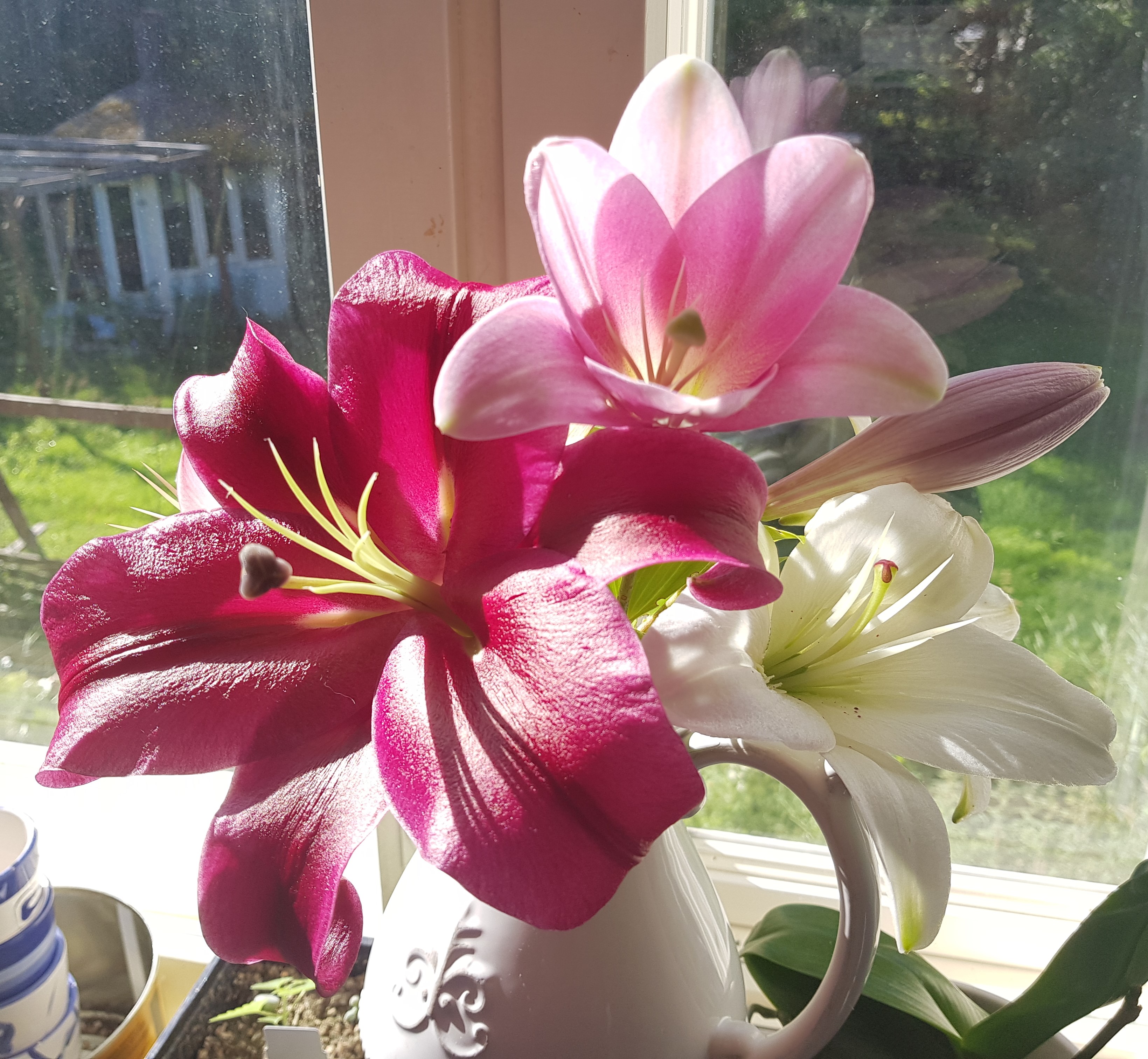 In a Vase on Monday | 14th August 2023