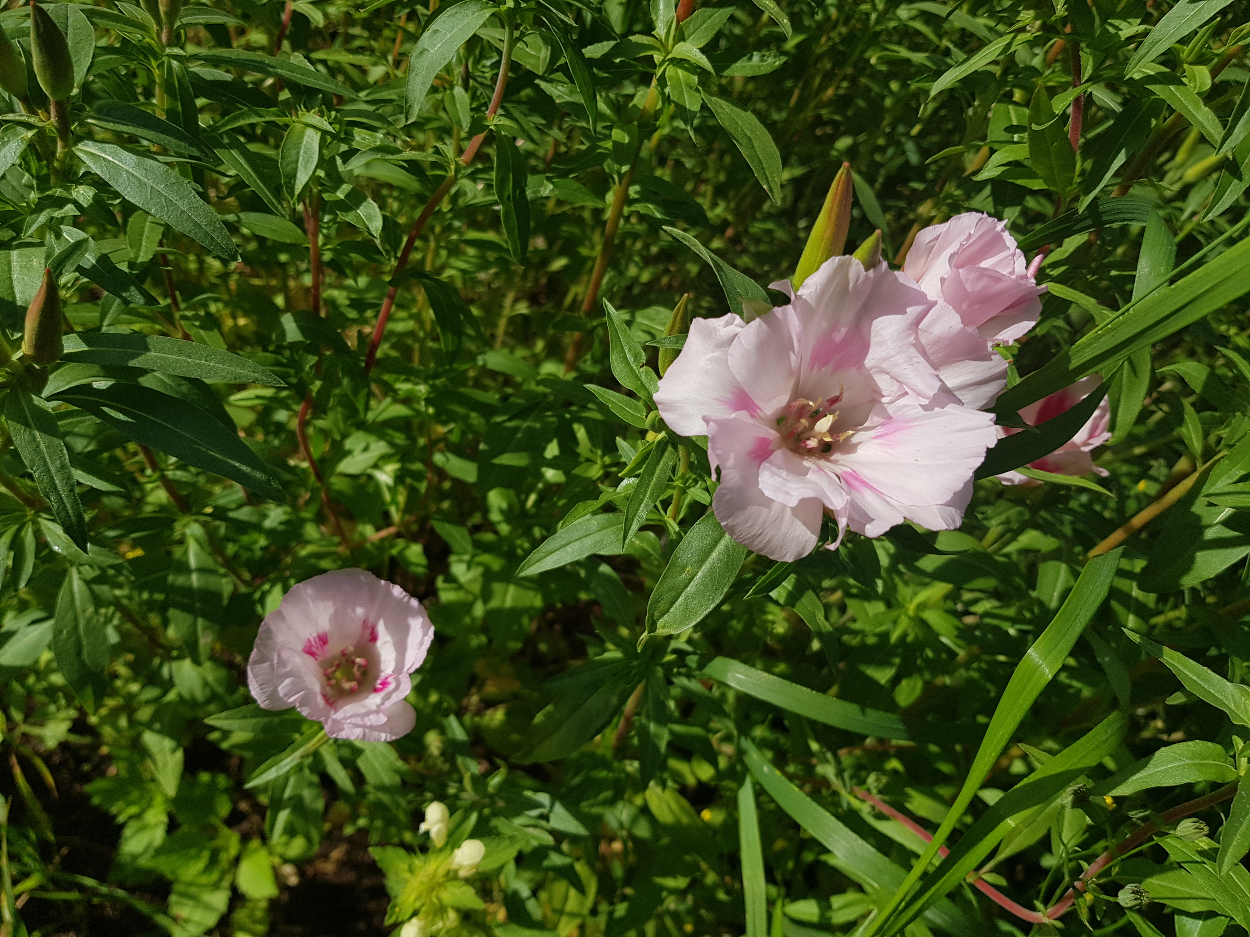 Six on Saturday | 19th August 2023