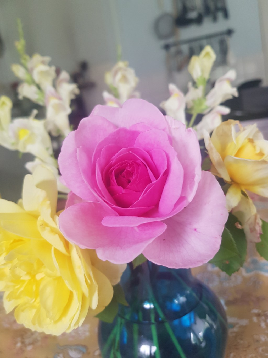 Garden Inventory | Rosa ‘Gertrude&nbsp;Jekyll’