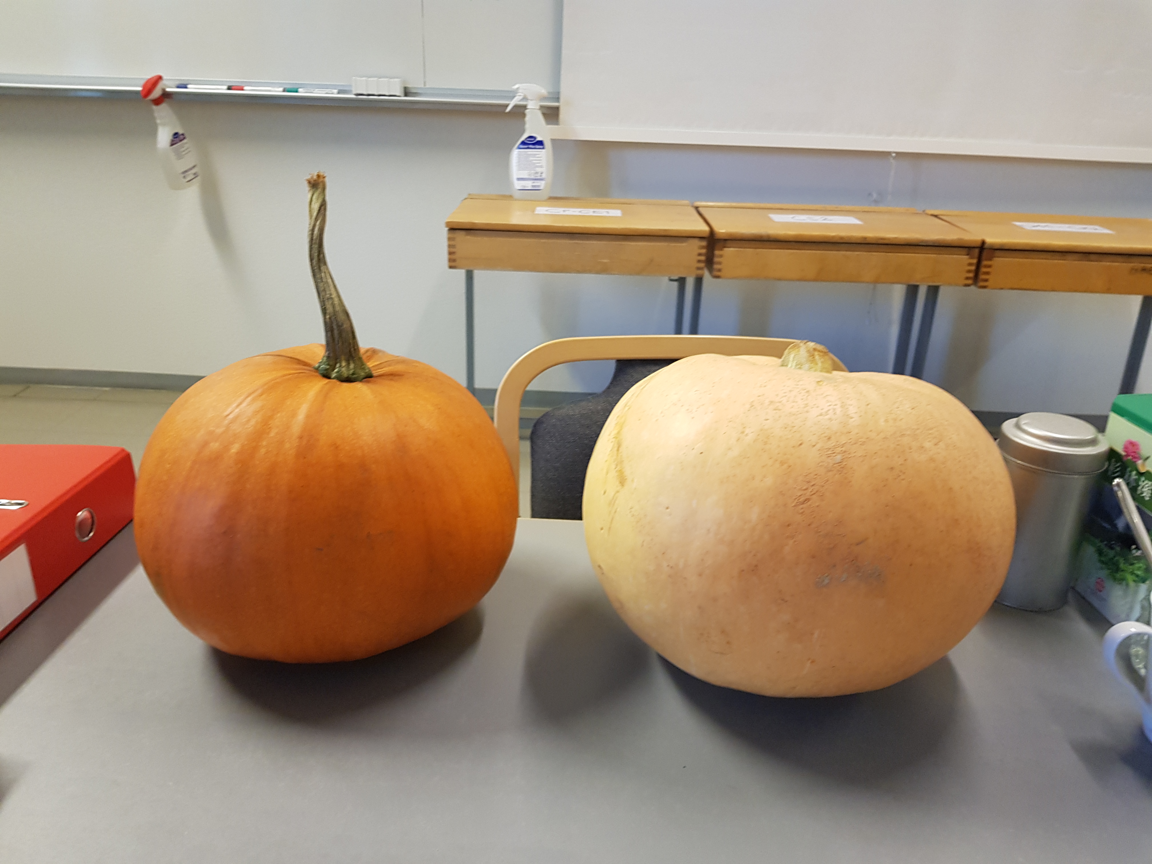 Six on Saturday | 7th October 2023