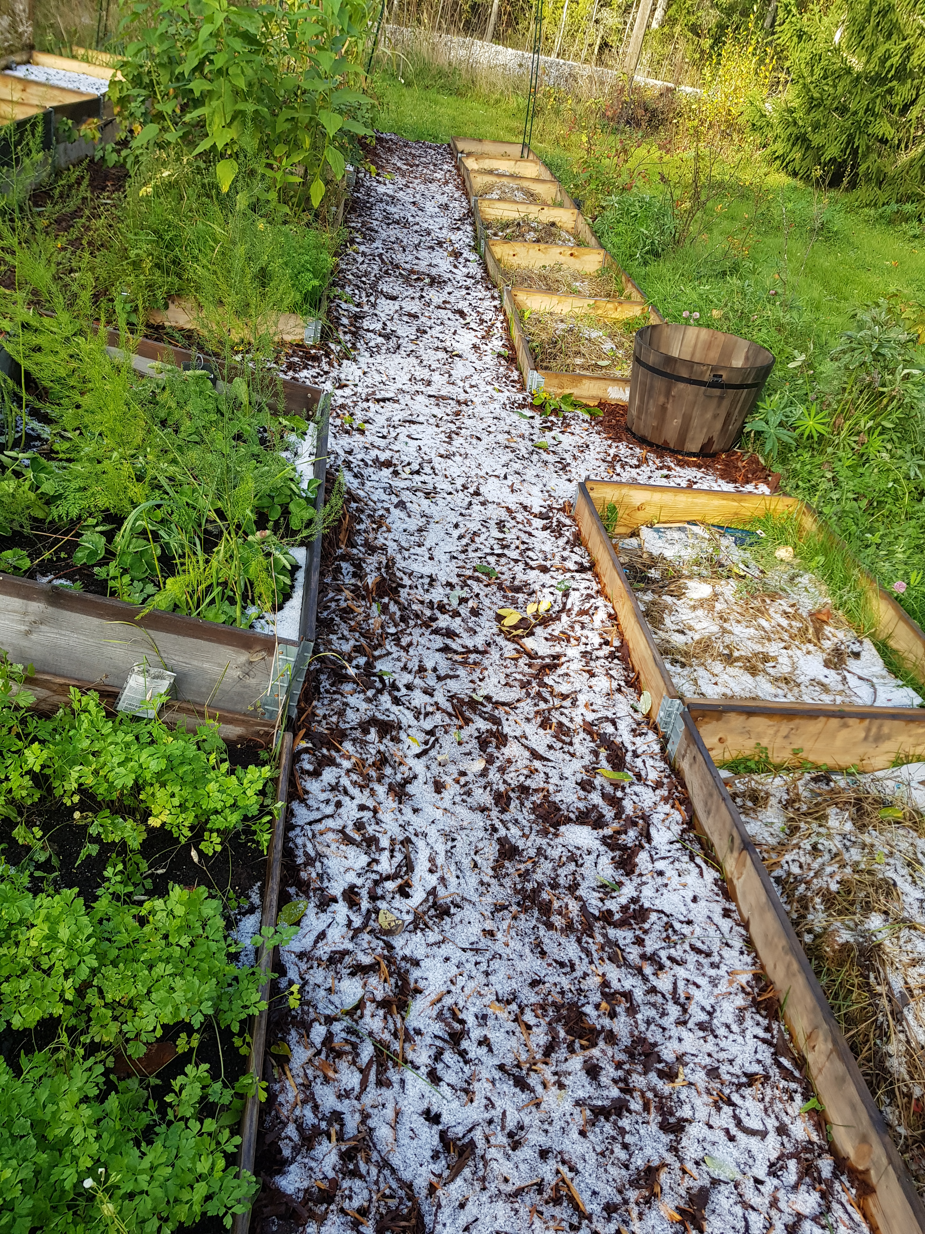 In a Vase on Monday | 9th October 2023