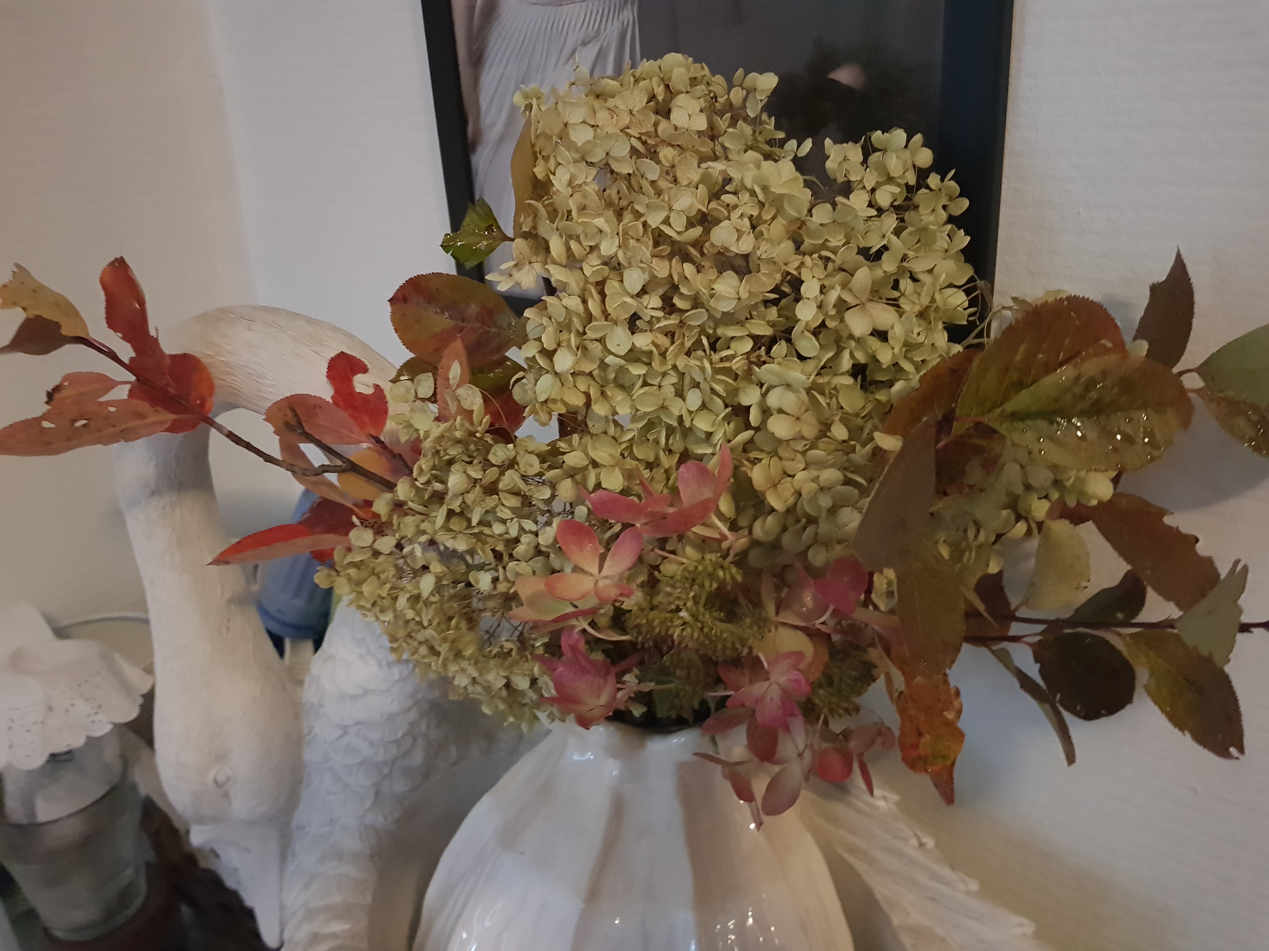In a Vase on Monday | 16th October 2023