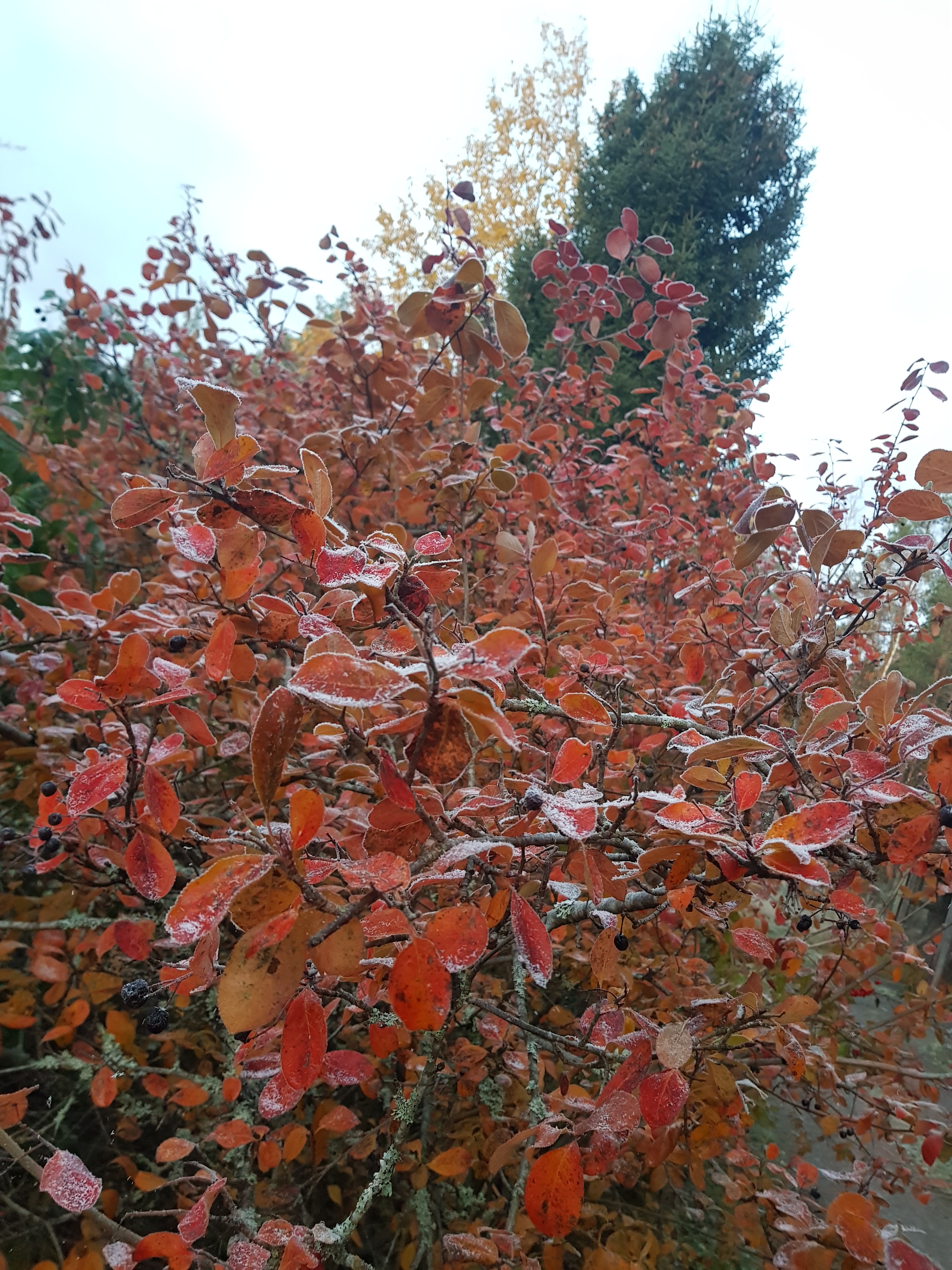 Six on Saturday | 21st October 2023