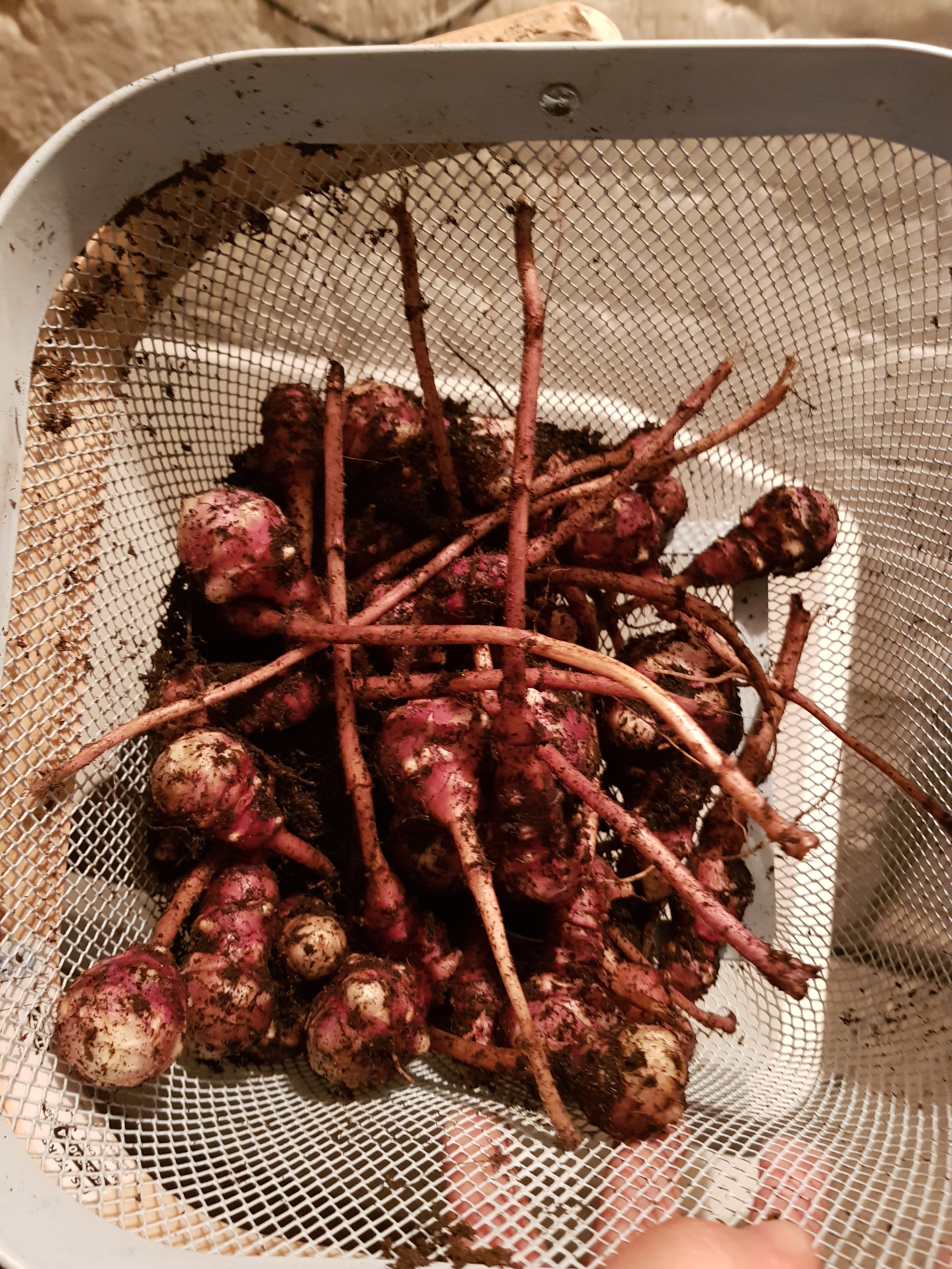 Six on Saturday | 18th November 2023