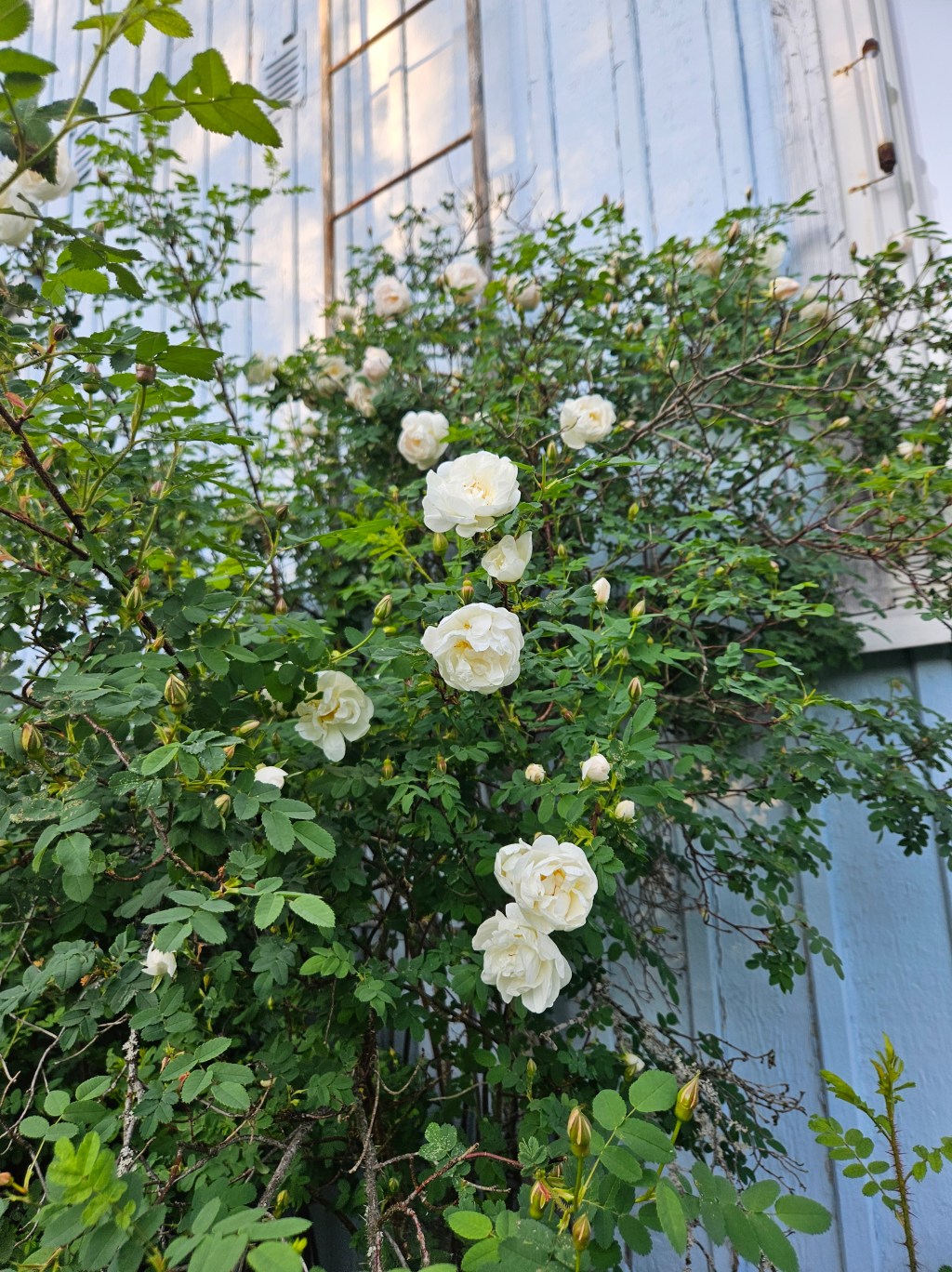 Six on Saturday | 8th June&nbsp;2024