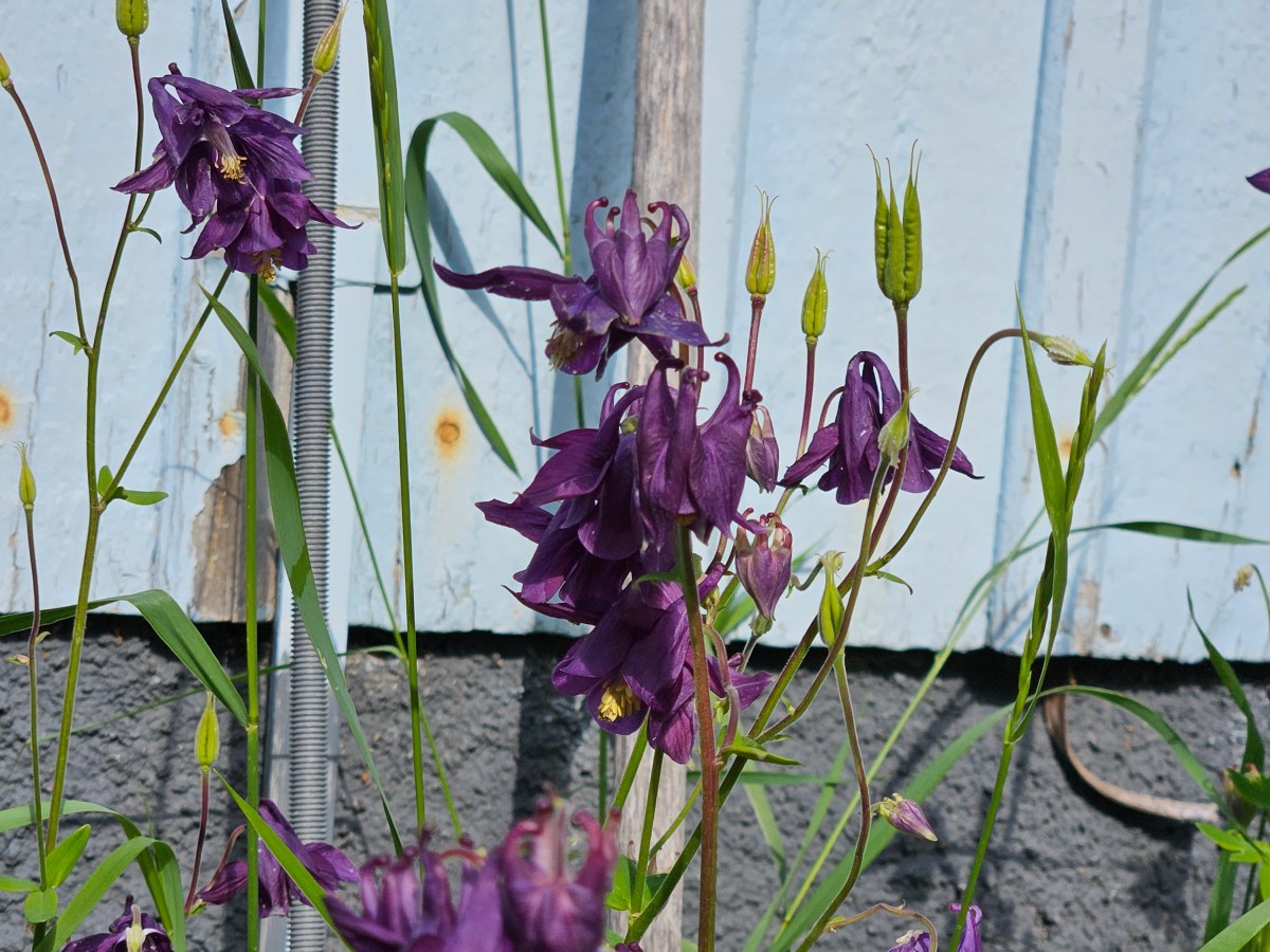 Six on Saturday | 15th June&nbsp;2024