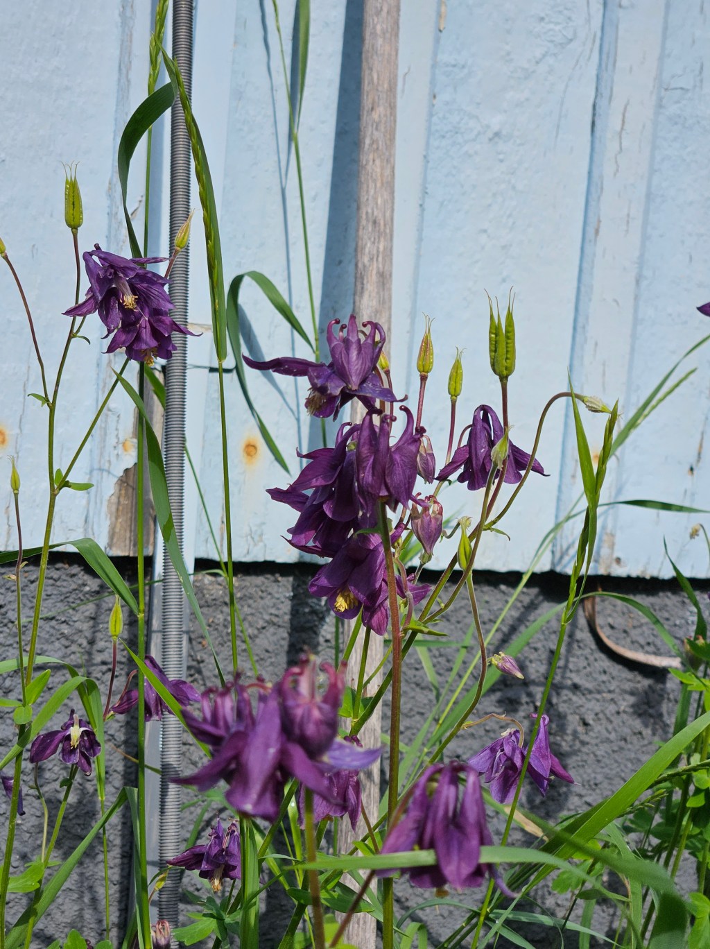 Six on Saturday | 15th June&nbsp;2024