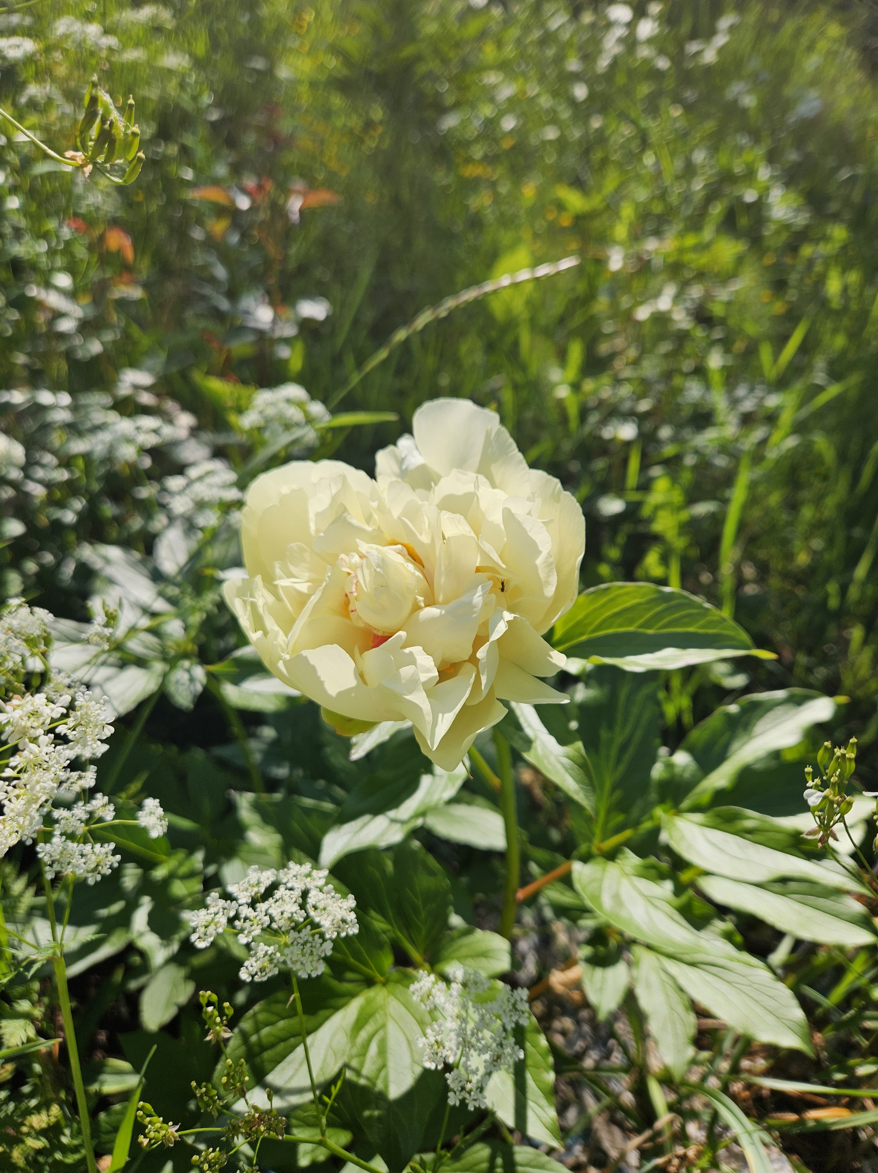 Six on Saturday | 22nd June 2024