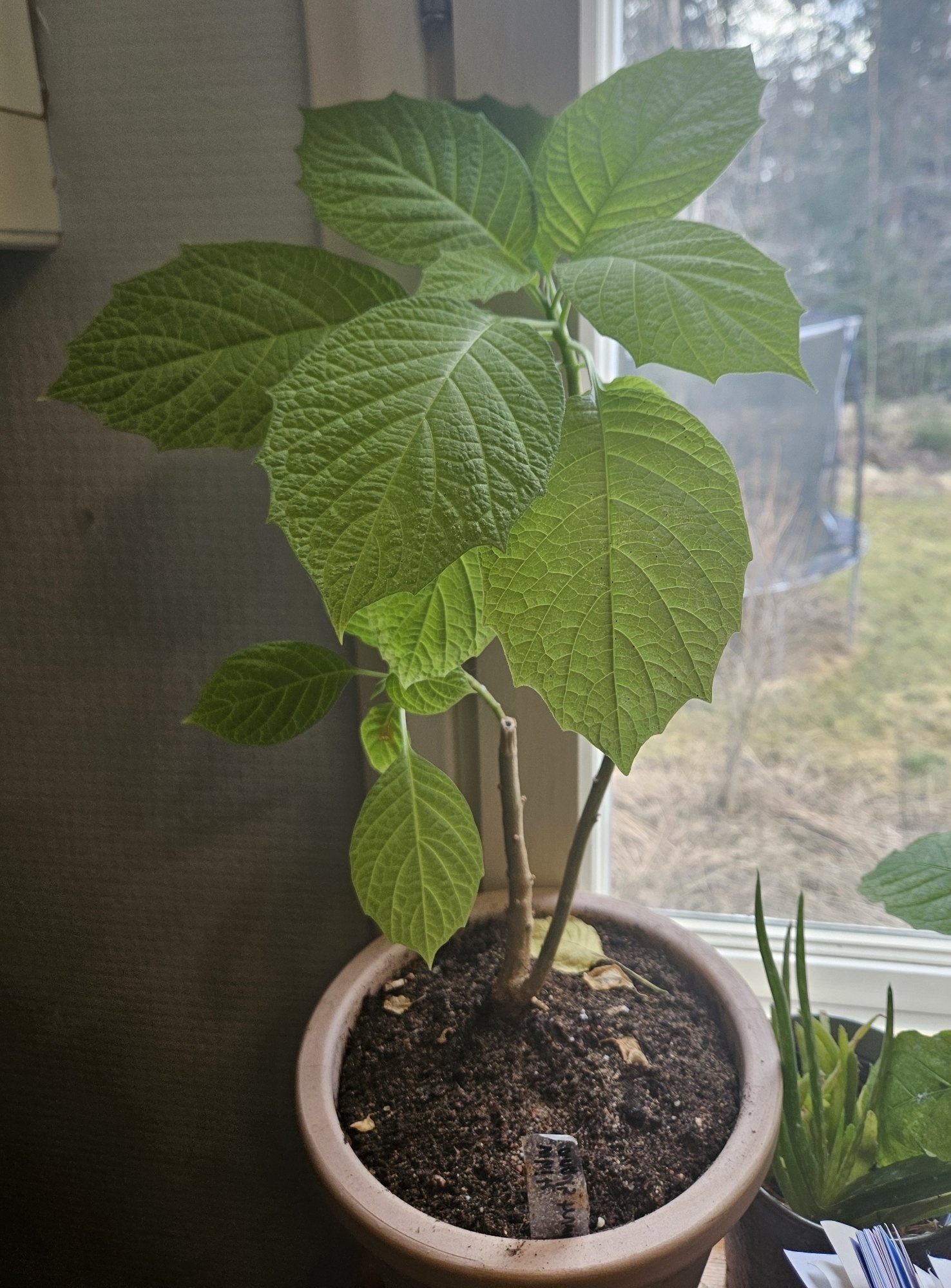 Six on Saturday | 21st March 2026