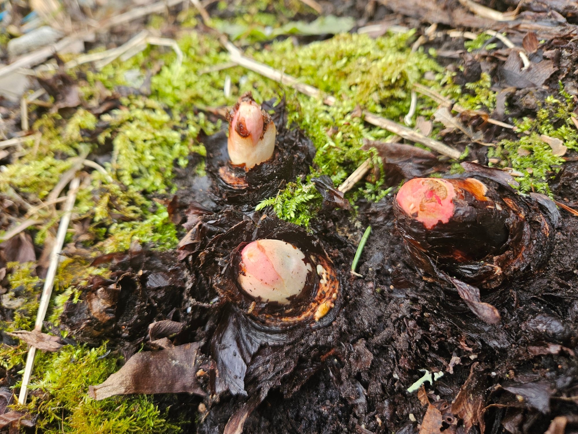 Six on Saturday | 28th March 2026