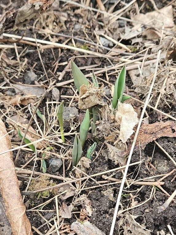 Six on Saturday | 4th April 2026