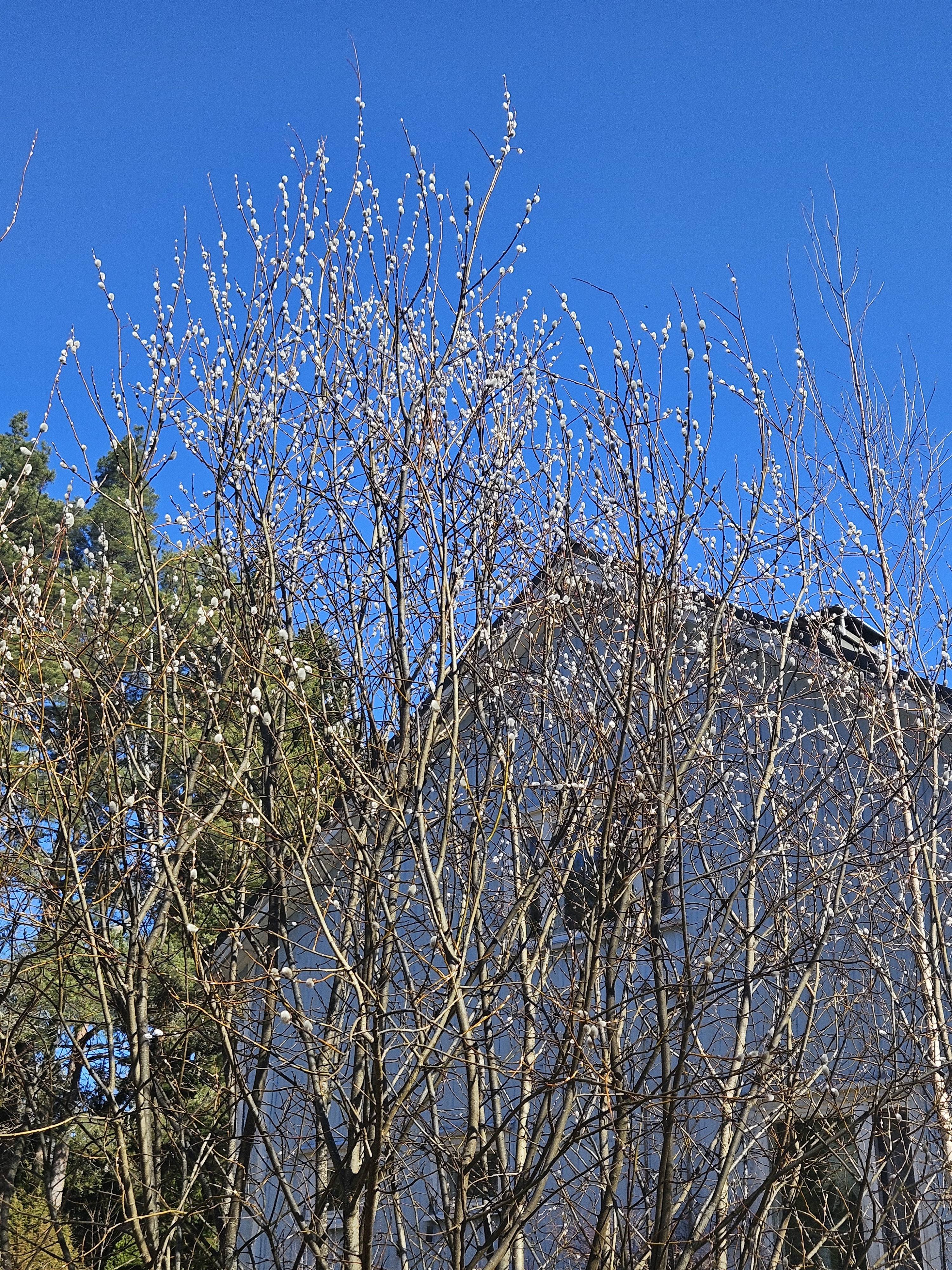 Six on Saturday | 11th April 2026