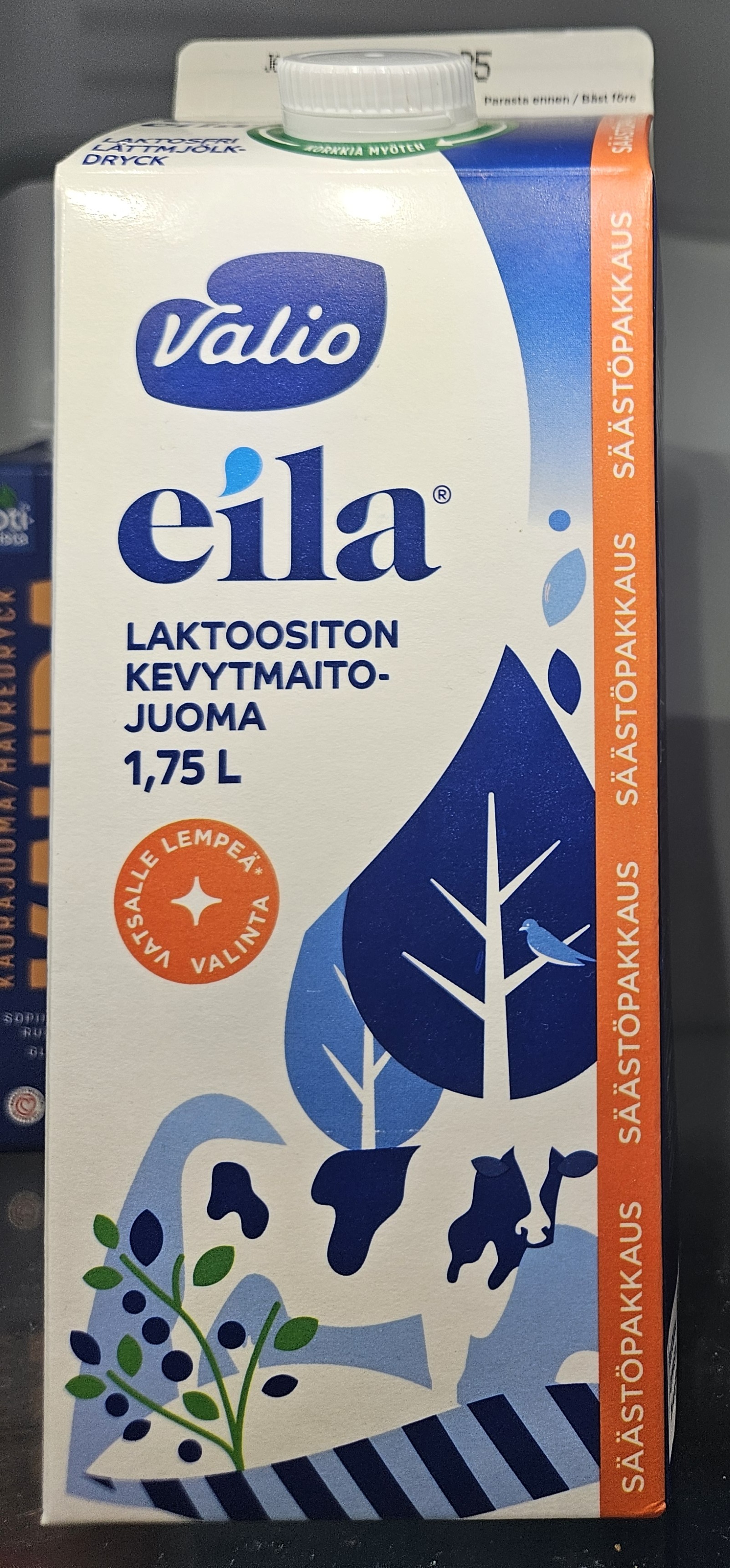 Maitojuoma | Milk Drink