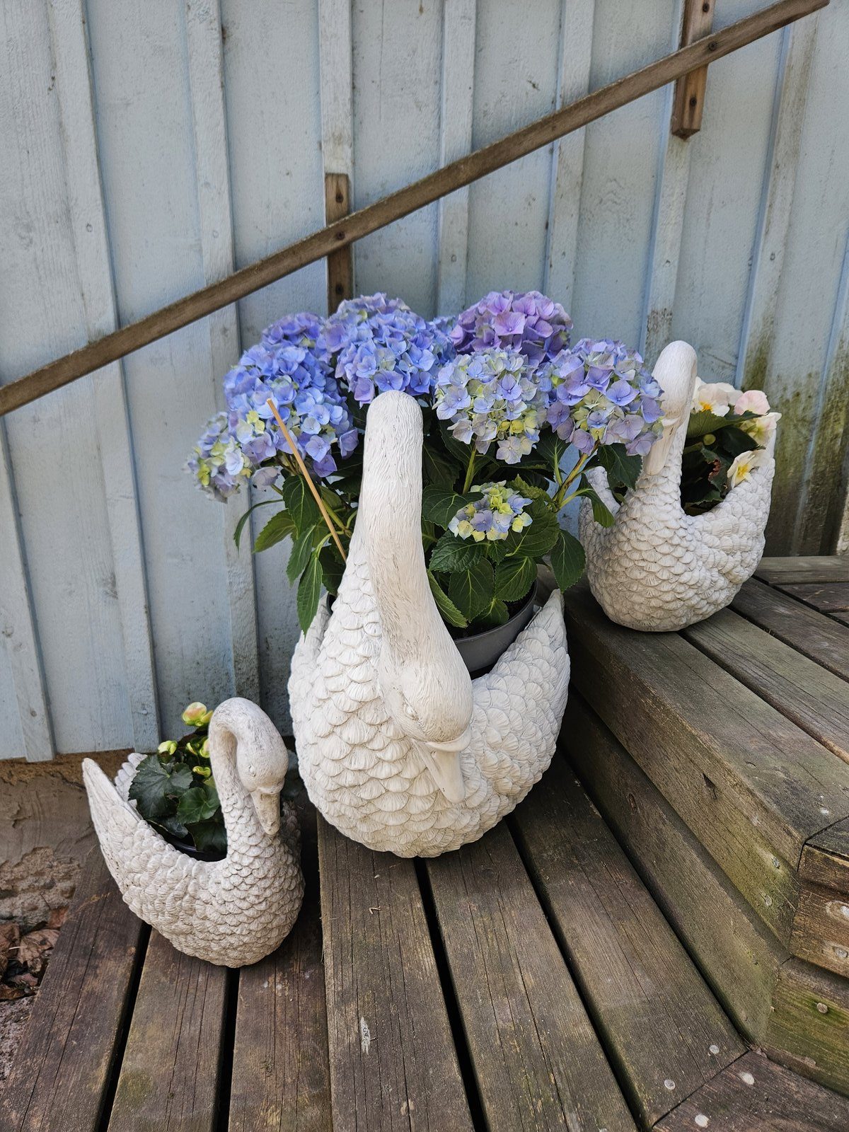 Six on Saturday | 16th May 2026