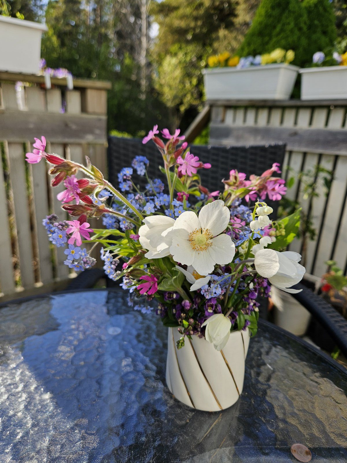 In a Vase on Monday | 25th May 2026