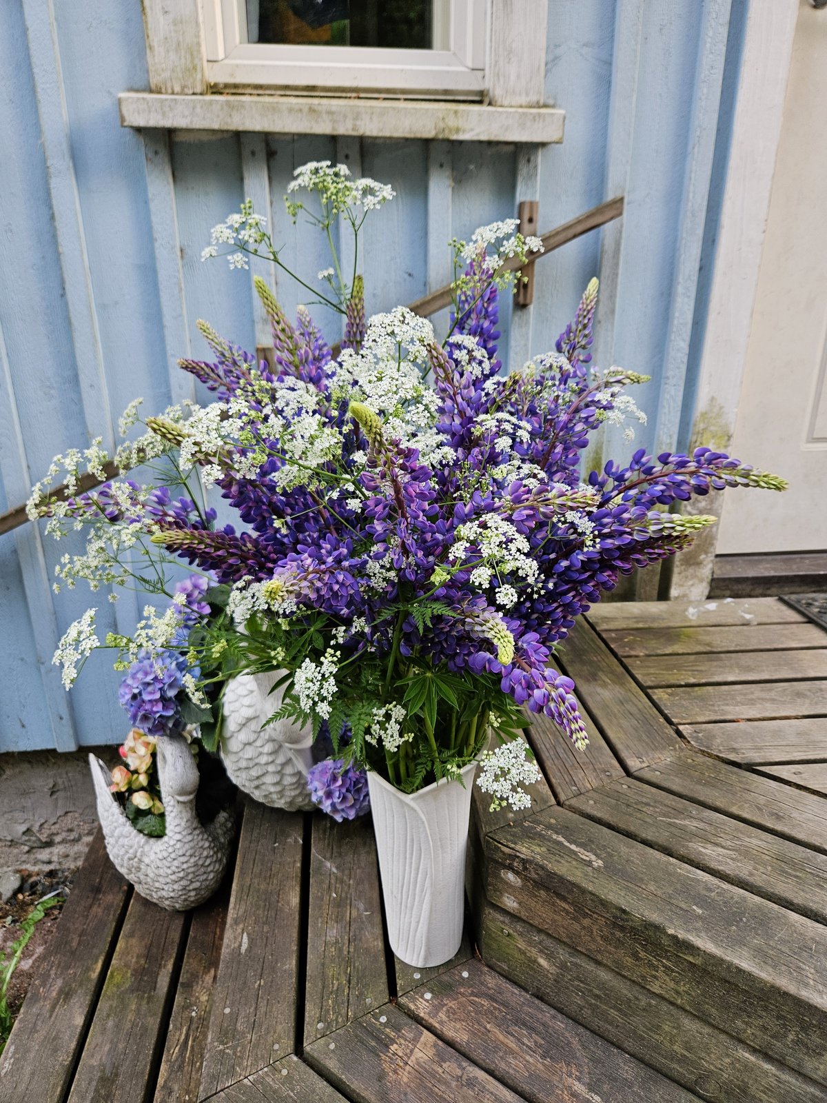 In a Vase on Monday | 8th June 2026