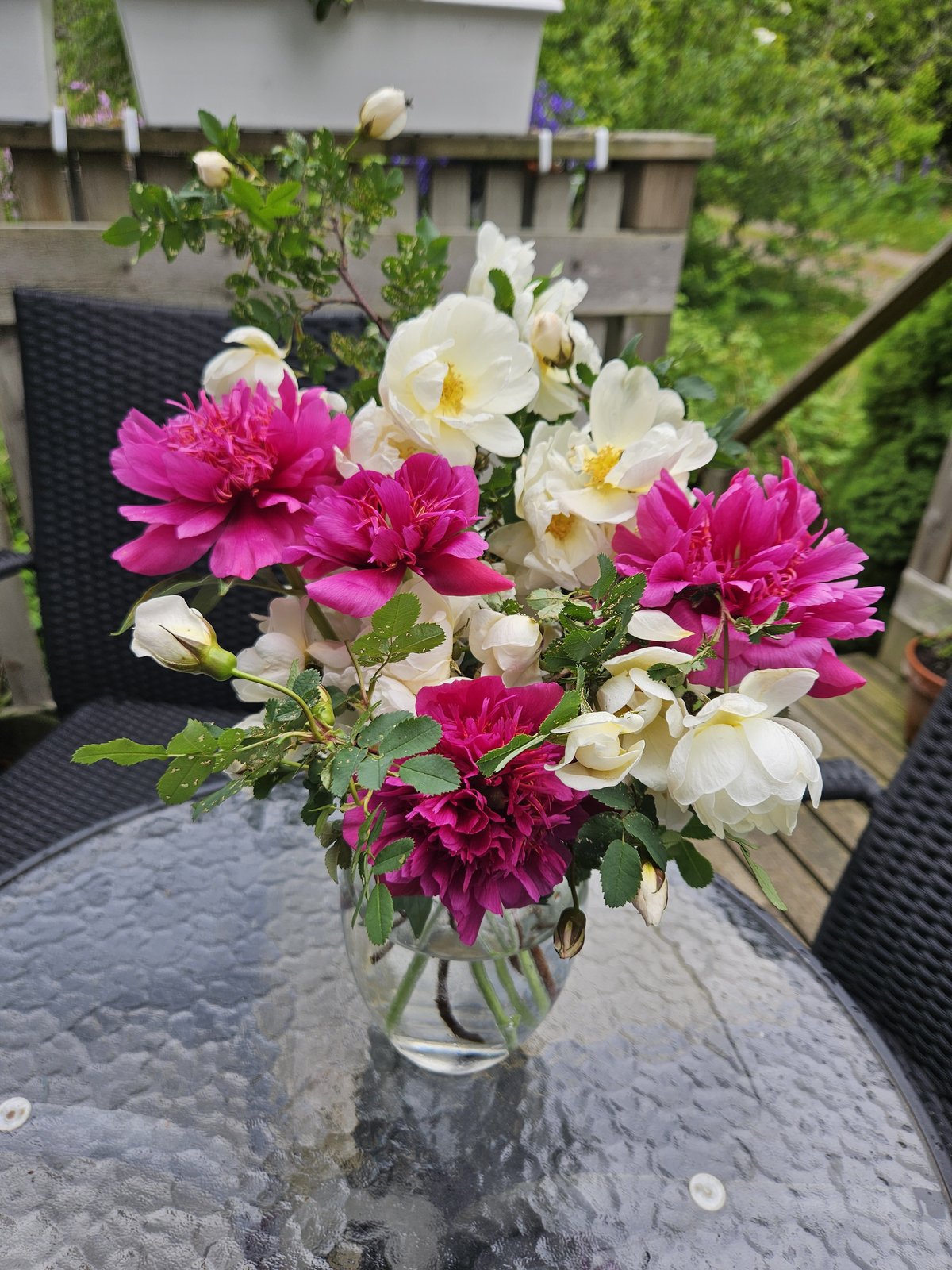In a Vase on Monday | 15th June 2026