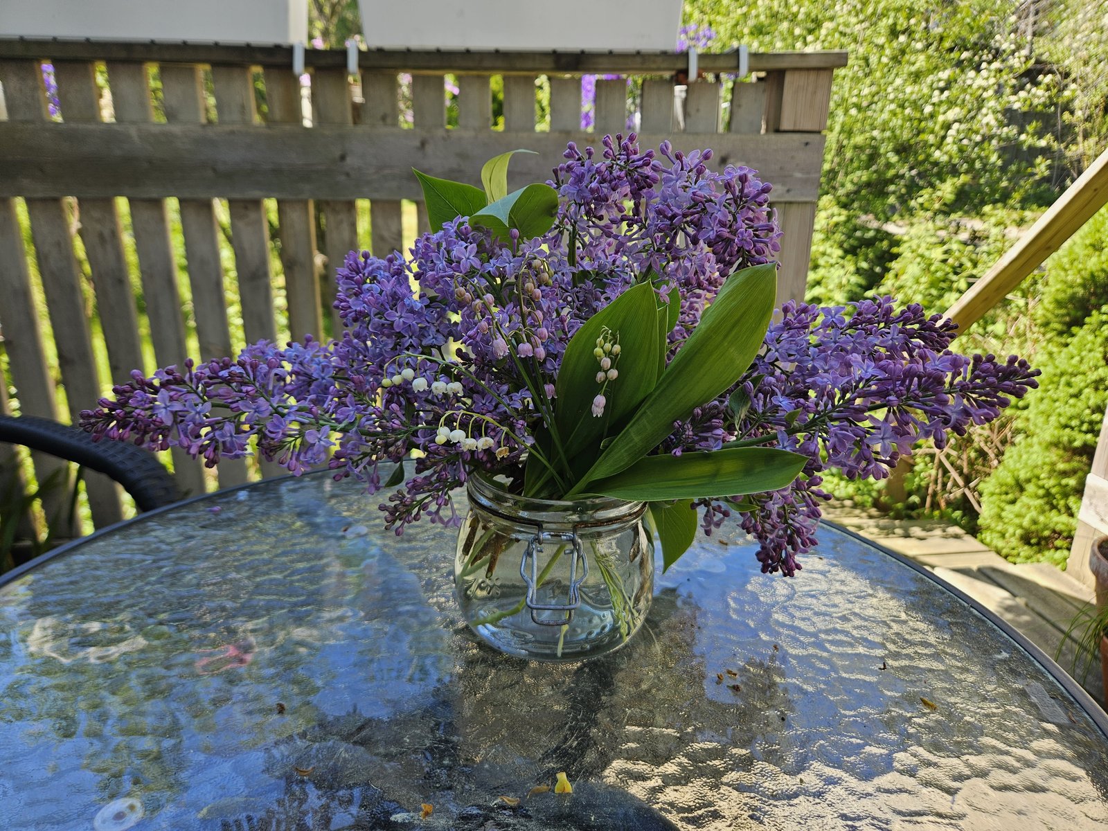 In a Vase on Monday | 1st June 2026