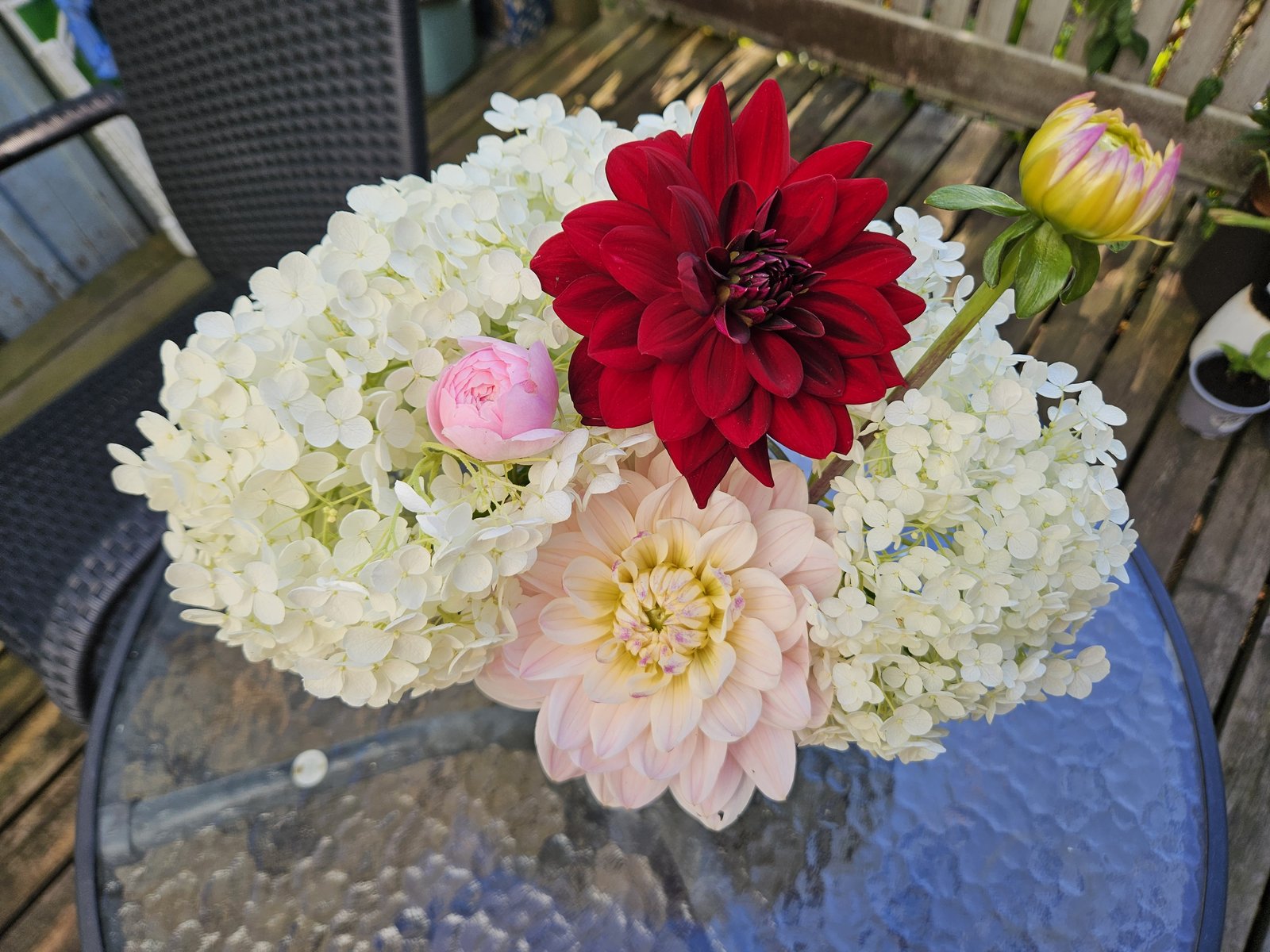 In a Vase on Monday | 3rd August 2026