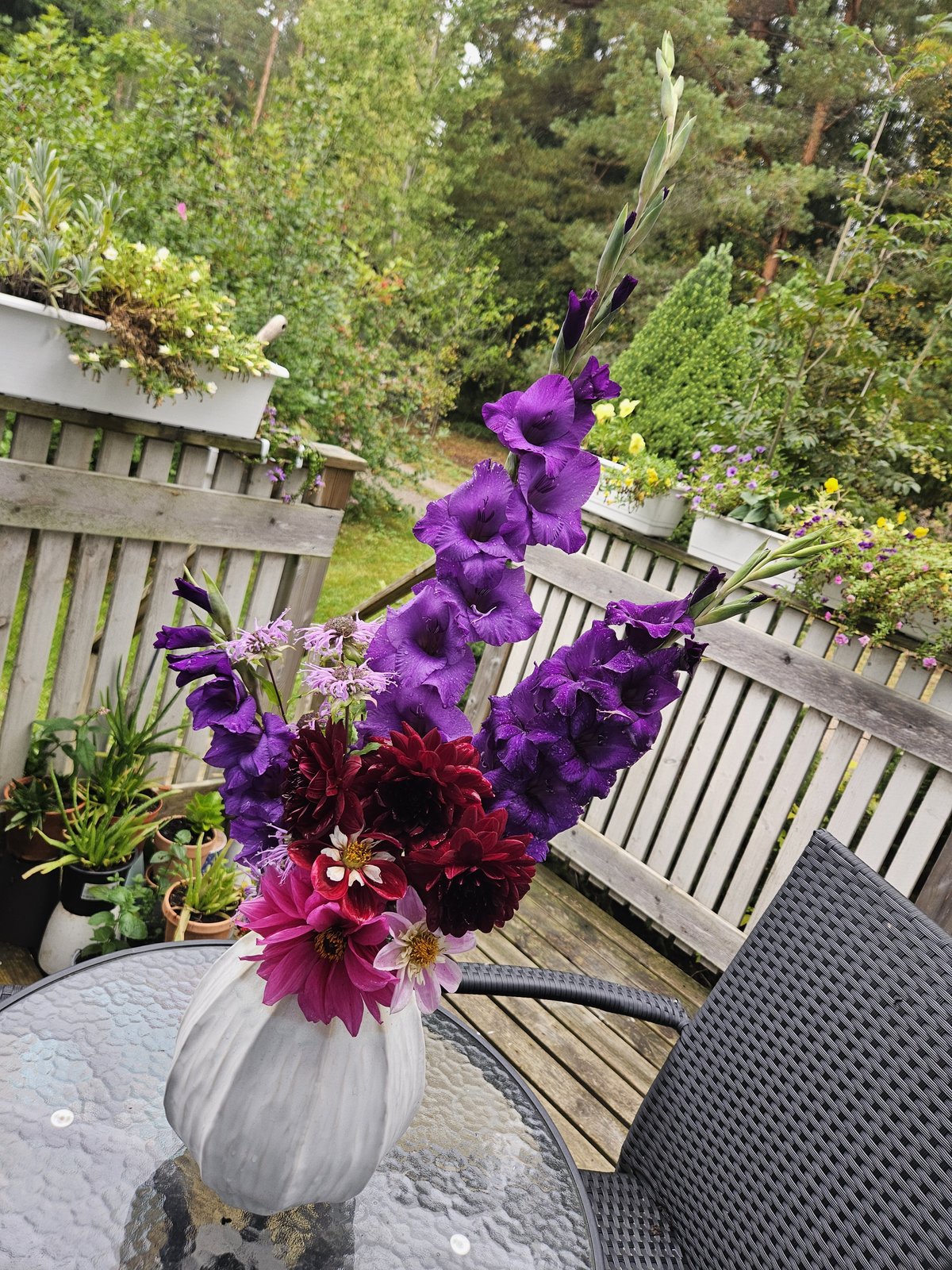 In a Vase on Monday | 31st August 2026