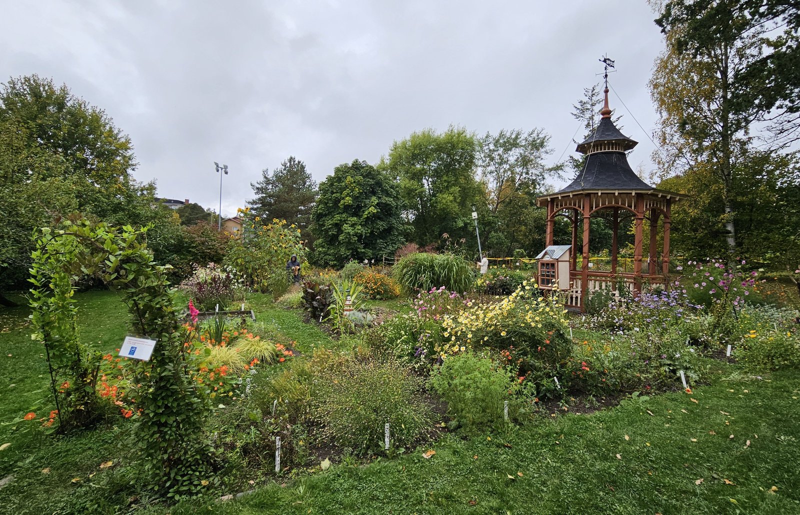Six on Saturday | 26th September 2026